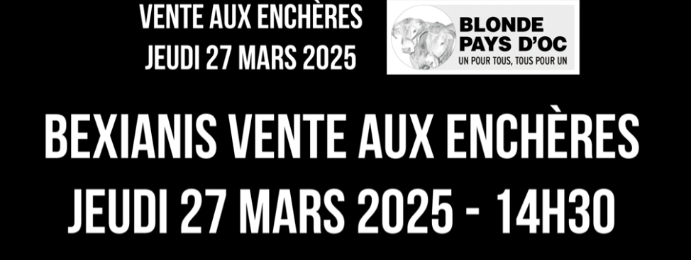 Capture décran 2025 vidéo playlist