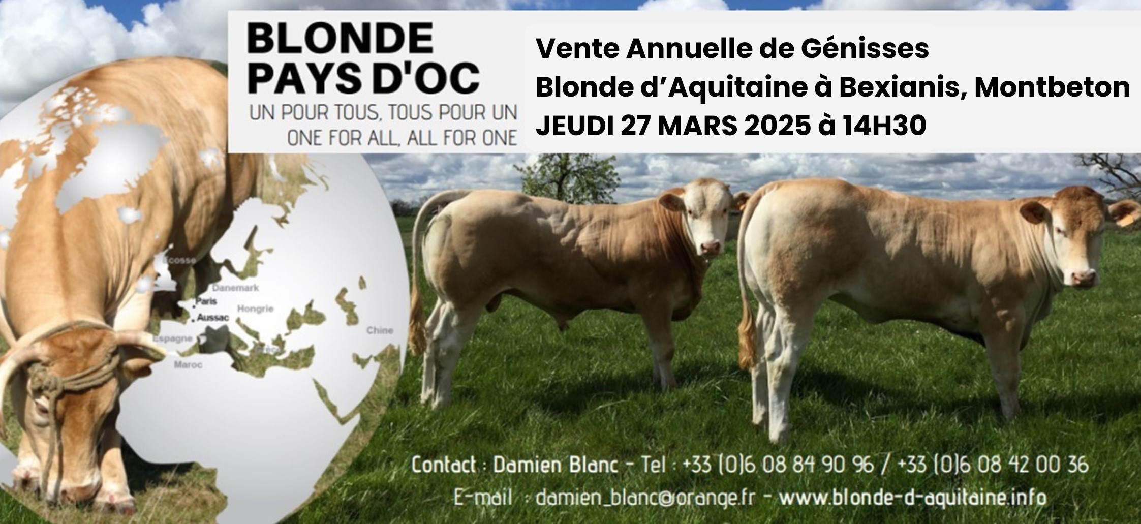 Photo pied de page site web 2025