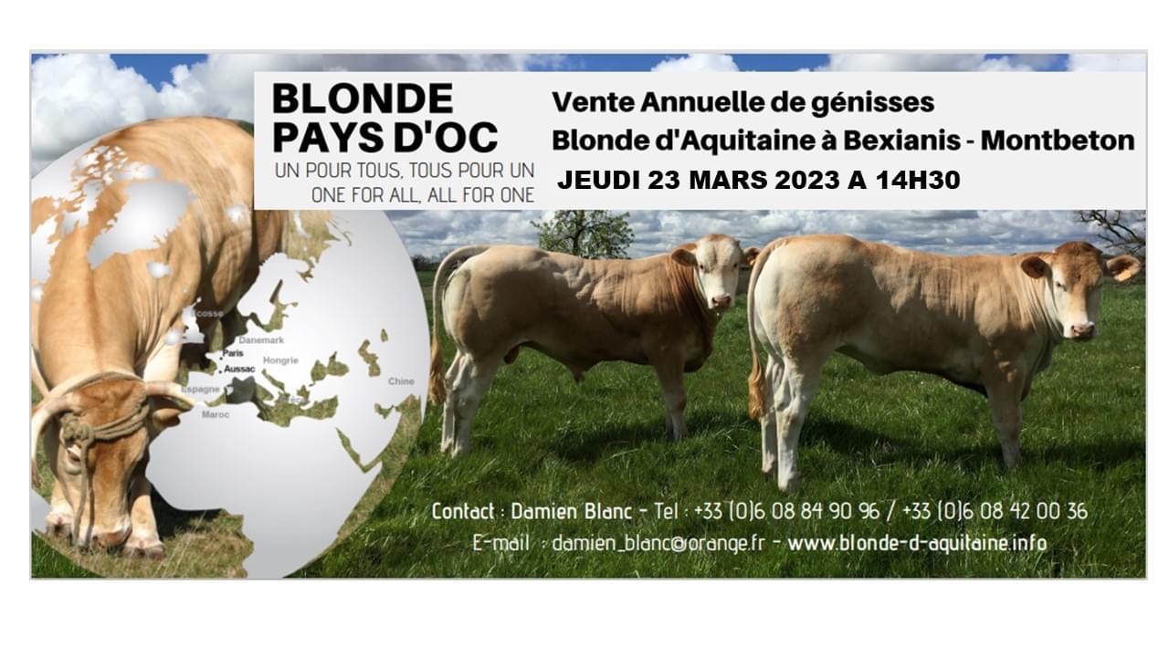 image vente 2023